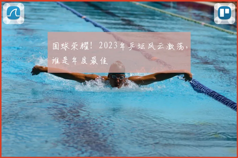 国球荣耀！2023年乒坛风云激荡，谁是年度最佳